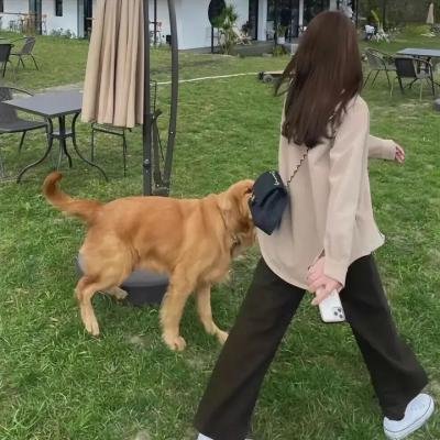 狂野非洲